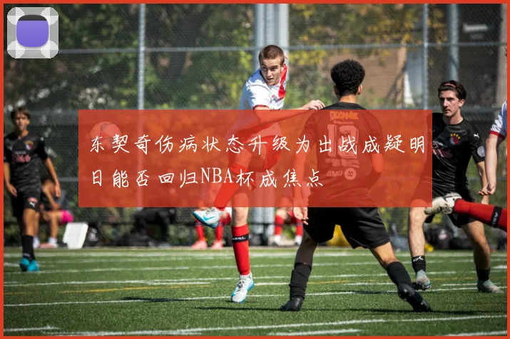 东契奇伤病状态升级为出战成疑明日能否回归NBA杯成焦点