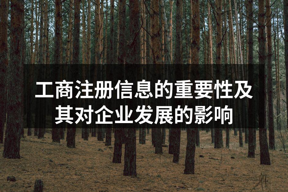 工商注册信息示例