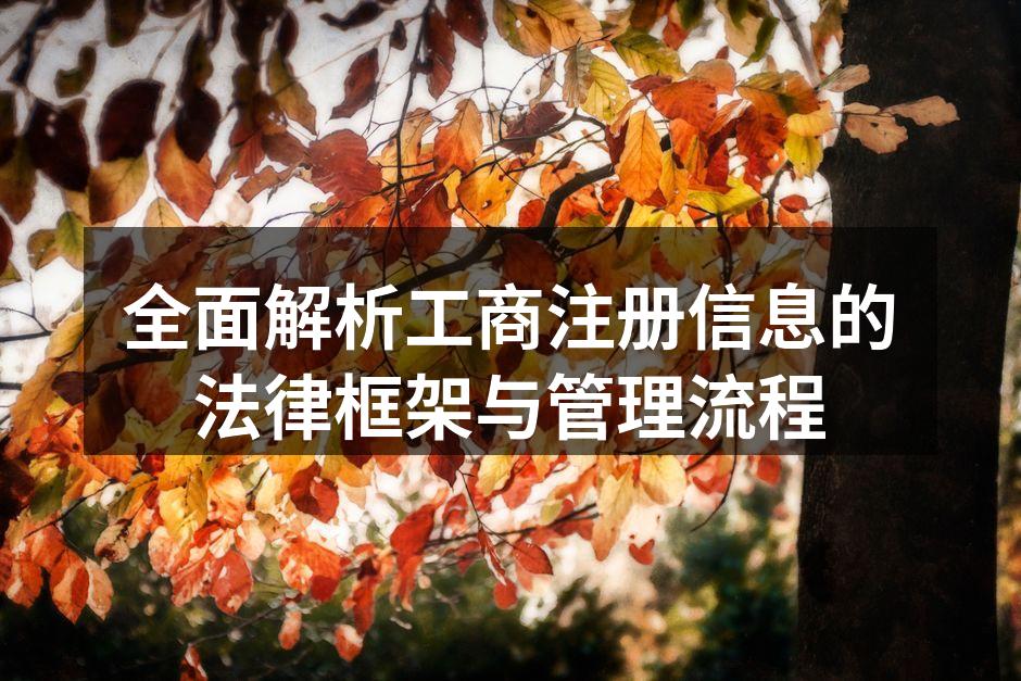 工商注册的重要性