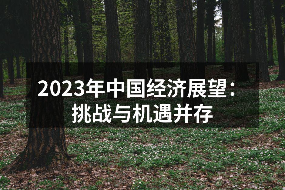 2023年中国经济展望会议
