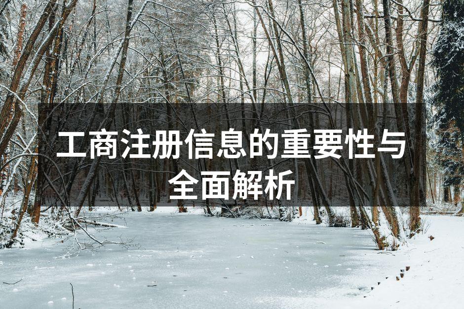 工商注册流程示意图