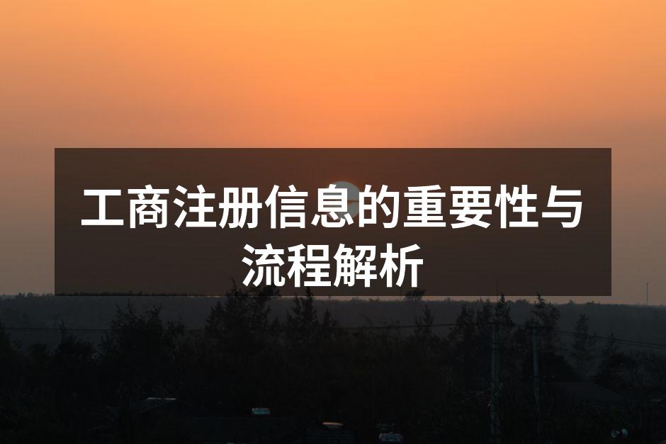 工商注册流程详解