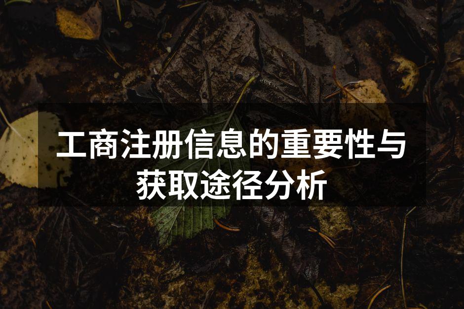 工商注册信息查询示例